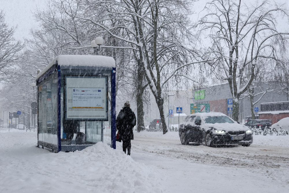 Winter storm claims 20 lives as brutal cold grips nation snow, storm
