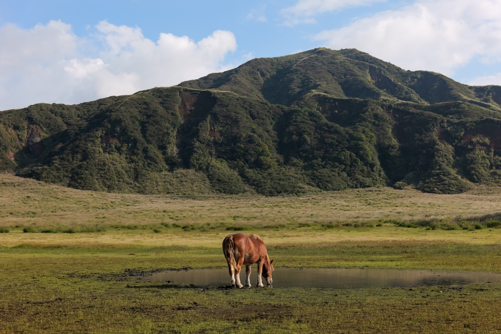 Des Plaines Is the Chicago Suburb You’ve Been Missing Des Plaines