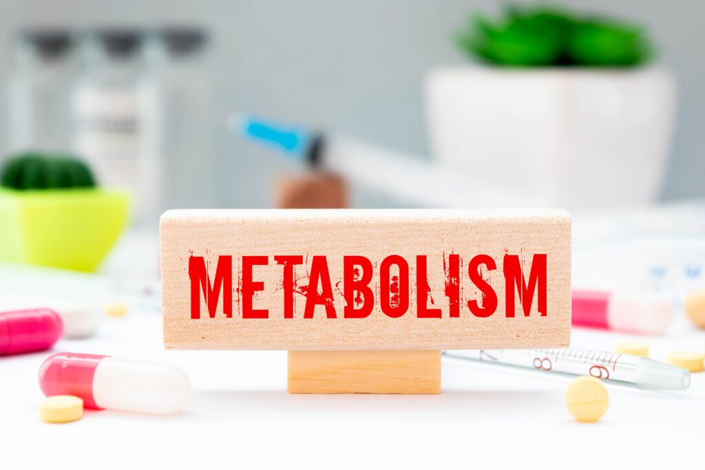 Metabolism