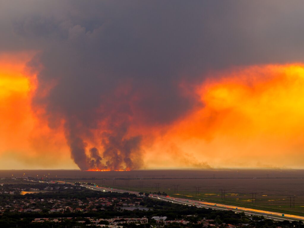 Wildfires, Florida