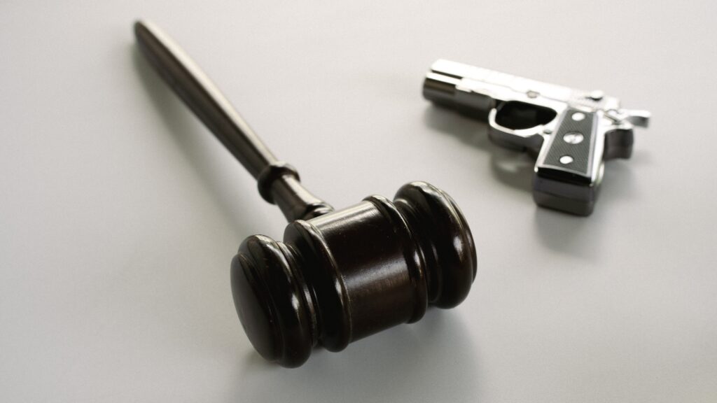 Gun Rules, Justice Dept, Firearms