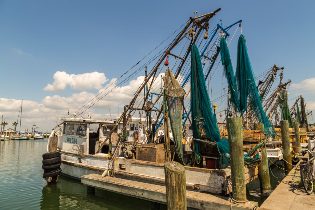 Shrimpers, Texas, Cost