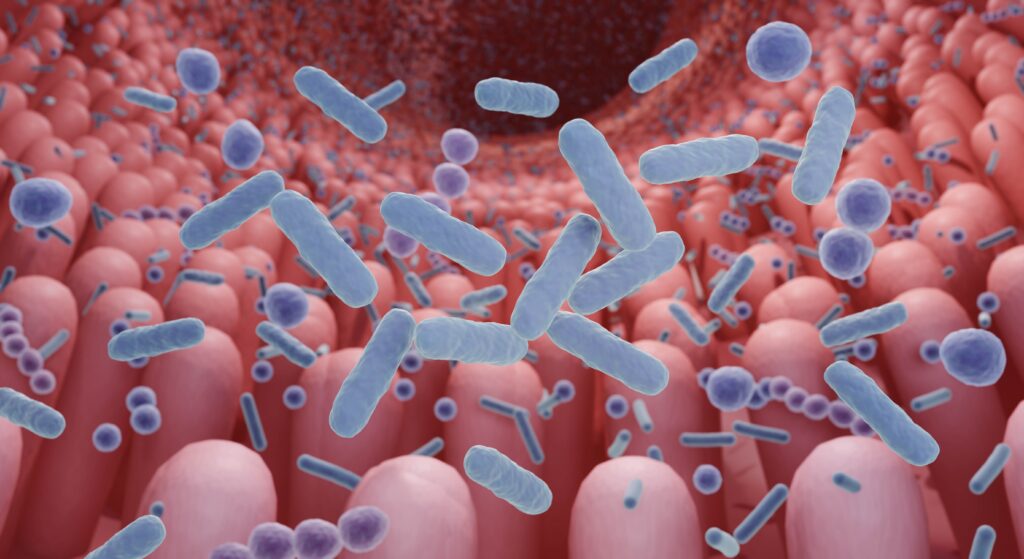 Microbiome