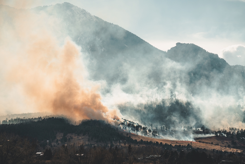Wildfire smoke chokes the US ahead of World Cup final Wildfire smoke